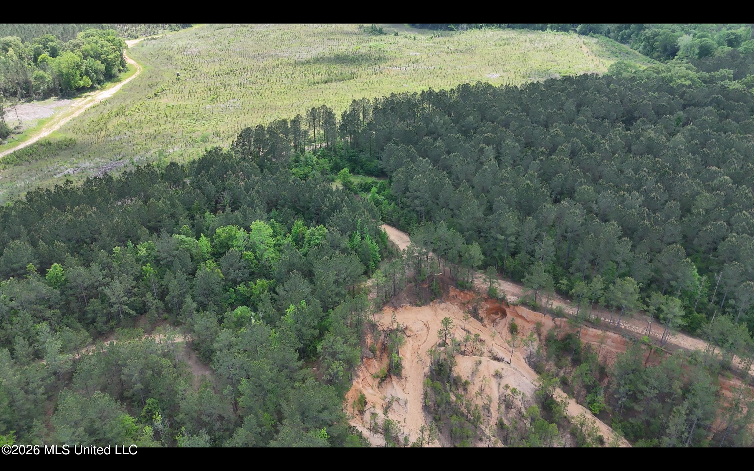 Magnolia Holmesville Road, McComb