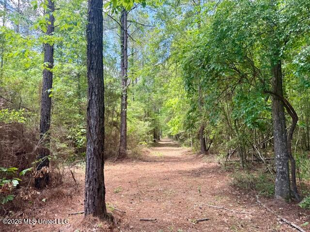 Magnolia Holmesville Road, McComb