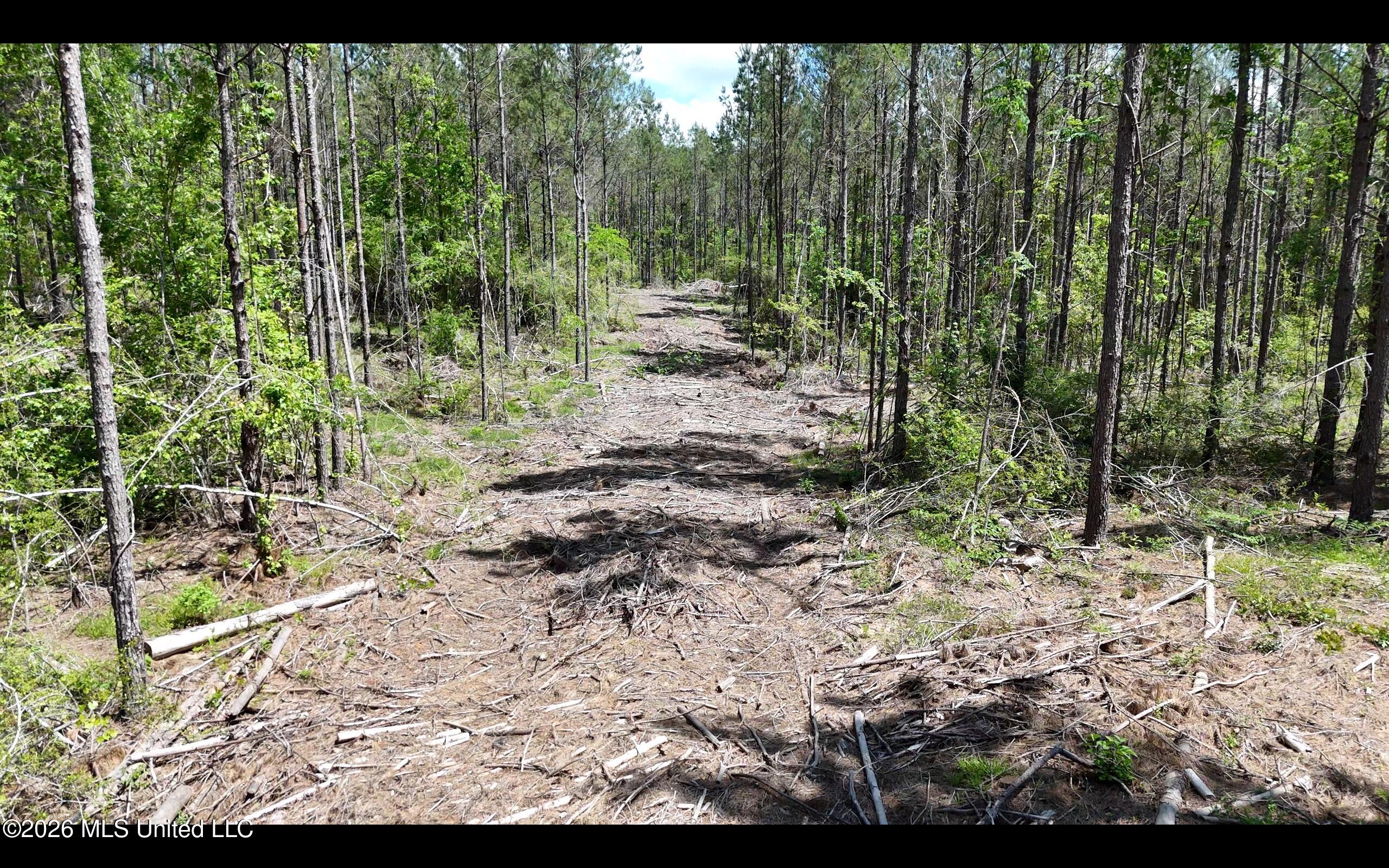 Magnolia Holmesville Road, McComb