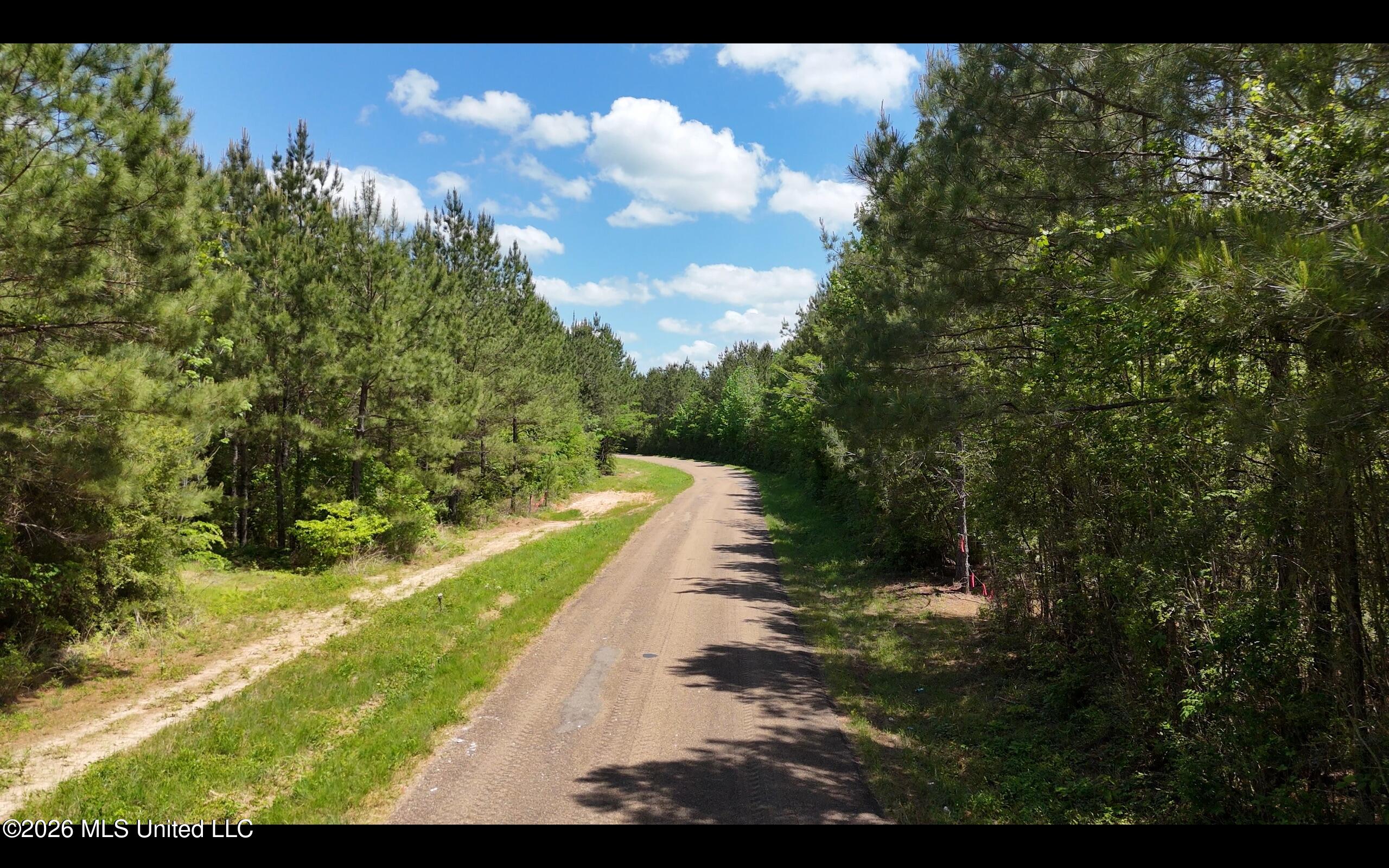 Magnolia Holmesville Road, McComb