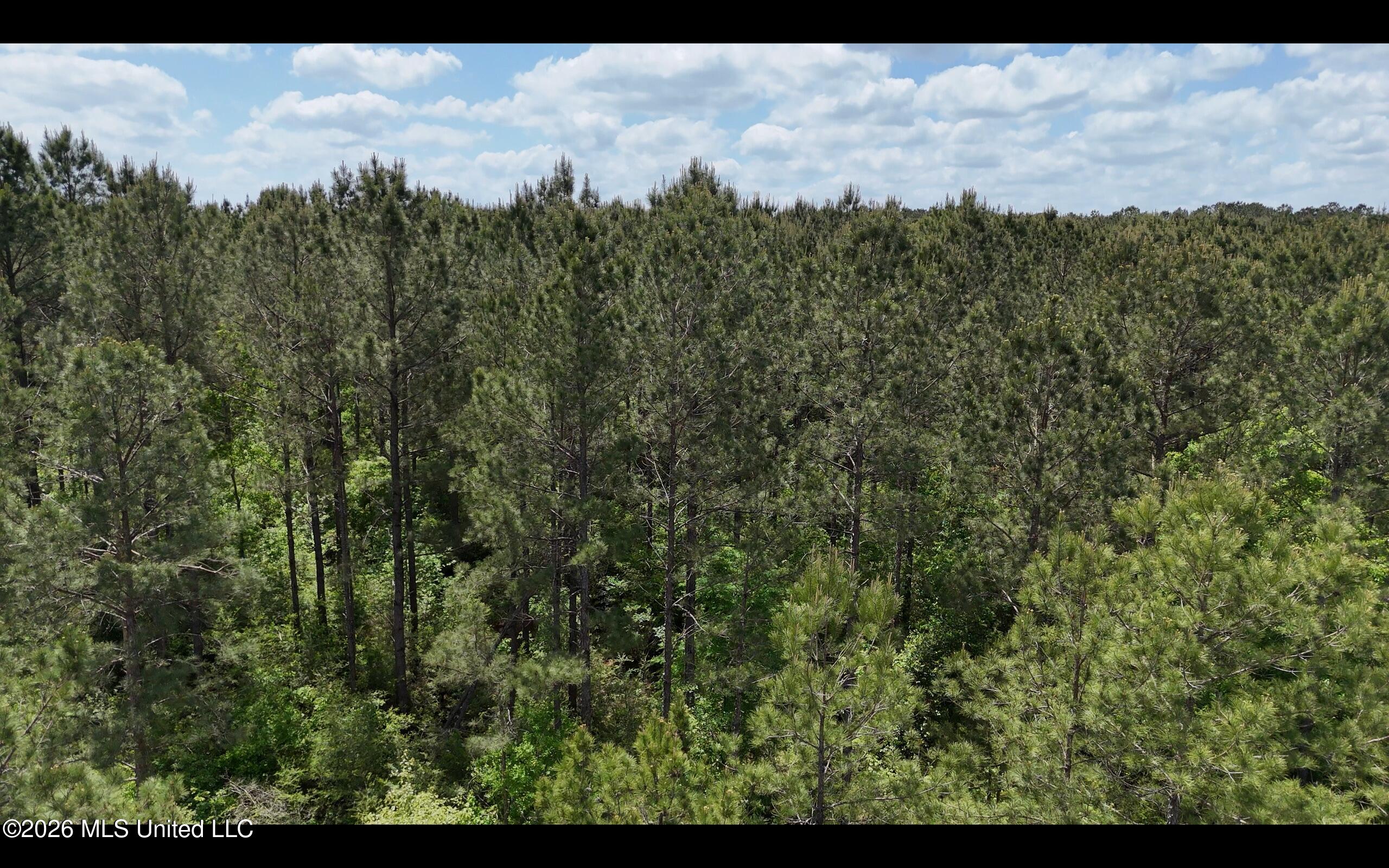 Magnolia Holmesville Road, McComb