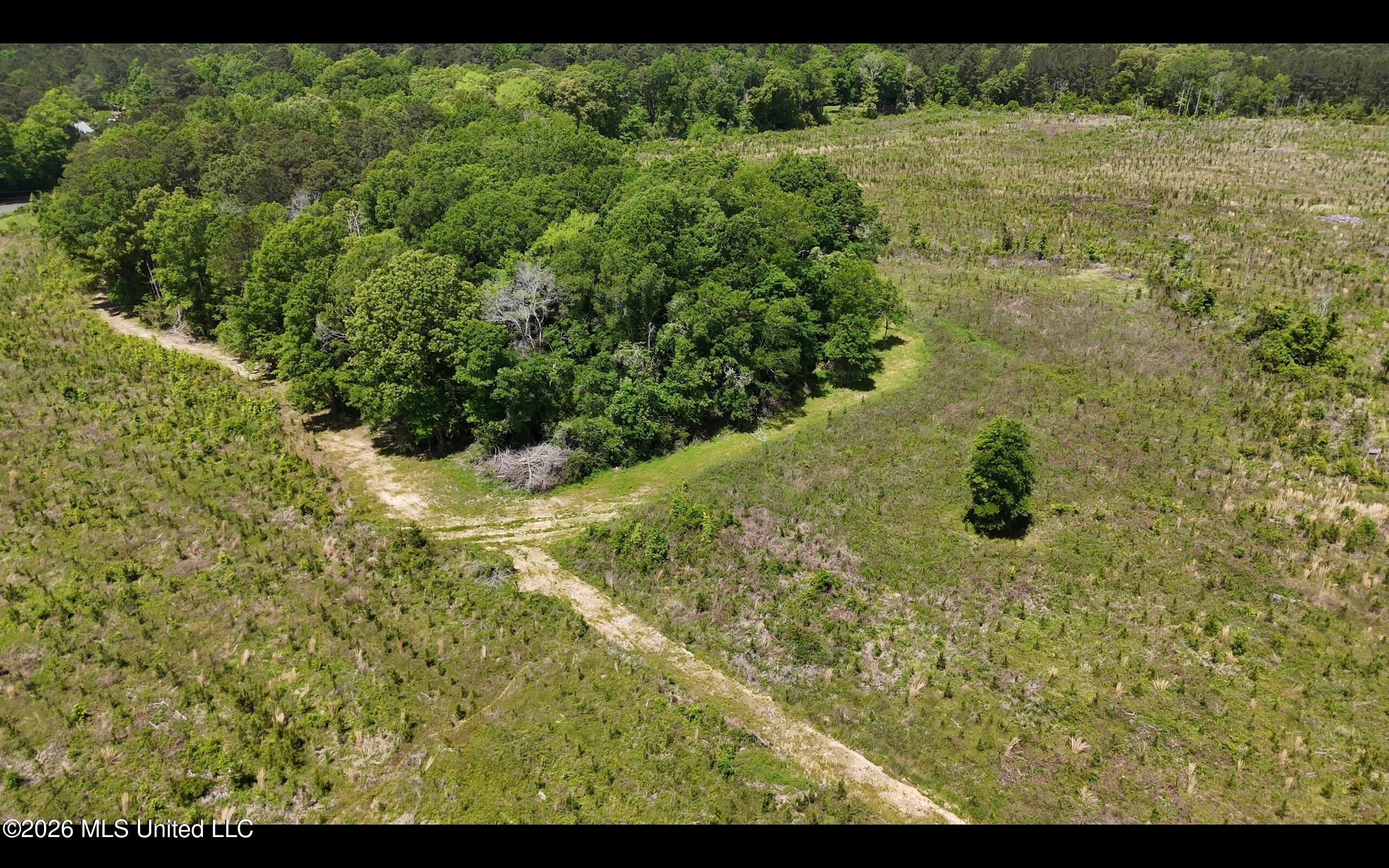 Magnolia Holmesville Road, McComb