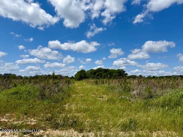 Magnolia Holmesville Road, McComb