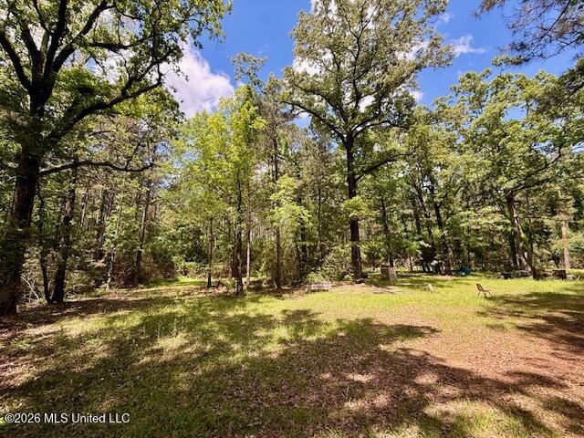Magnolia Holmesville Road, McComb
