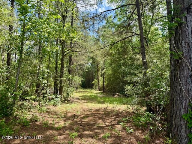 Magnolia Holmesville Road, McComb