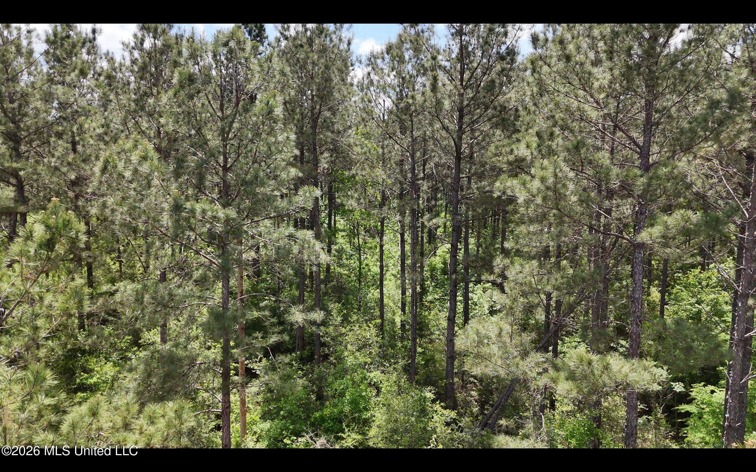 Magnolia Holmesville Road, McComb