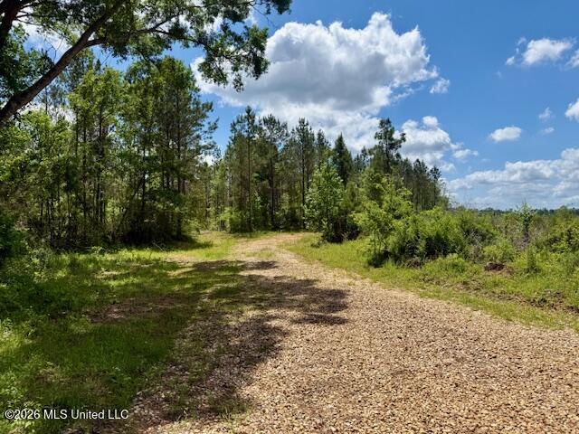 Magnolia Holmesville Road, McComb
