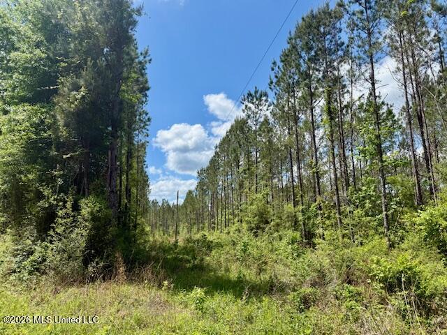 Magnolia Holmesville Road, McComb