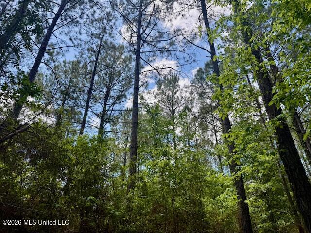 Magnolia Holmesville Road, McComb