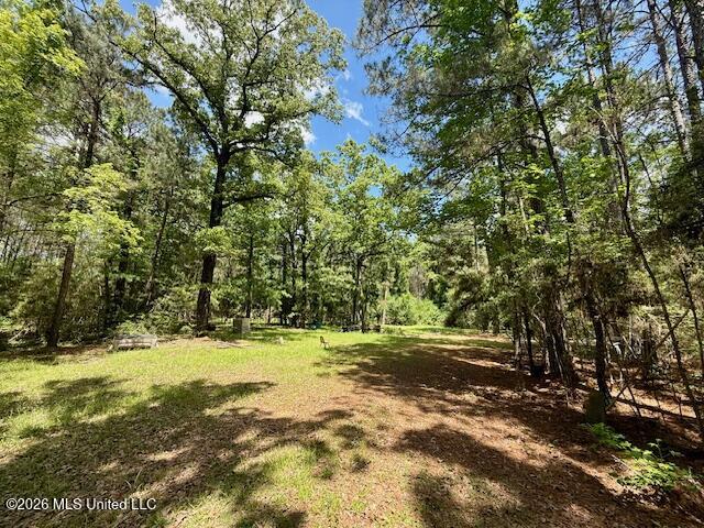 Magnolia Holmesville Road, McComb
