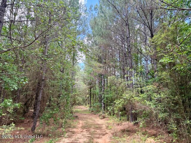 Magnolia Holmesville Road, McComb