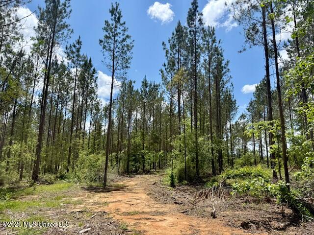 Magnolia Holmesville Road, McComb