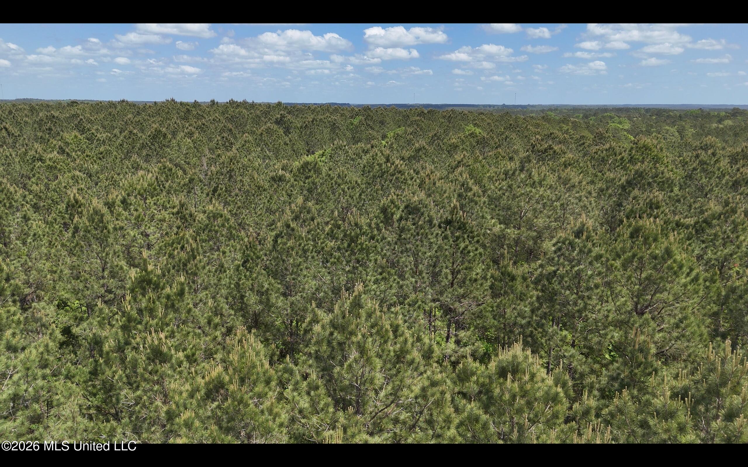 Magnolia Holmesville Road, McComb
