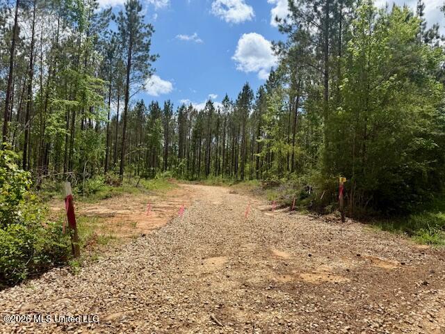 Magnolia Holmesville Road, McComb