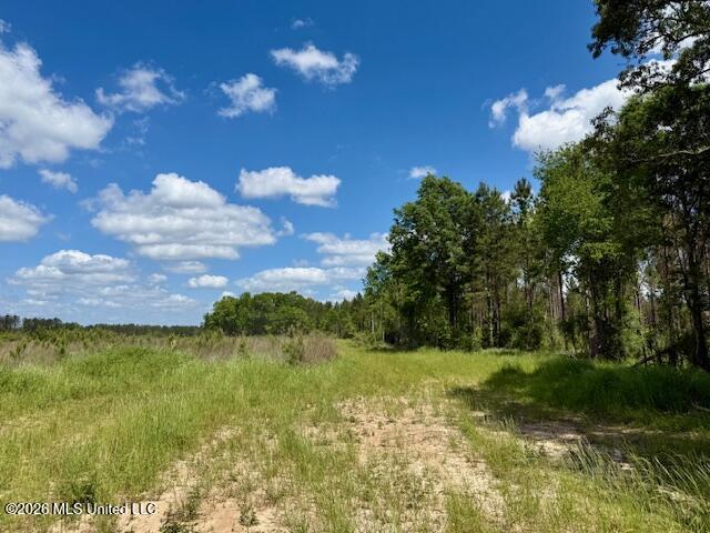 Magnolia Holmesville Road, McComb