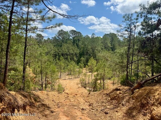 Magnolia Holmesville Road, McComb