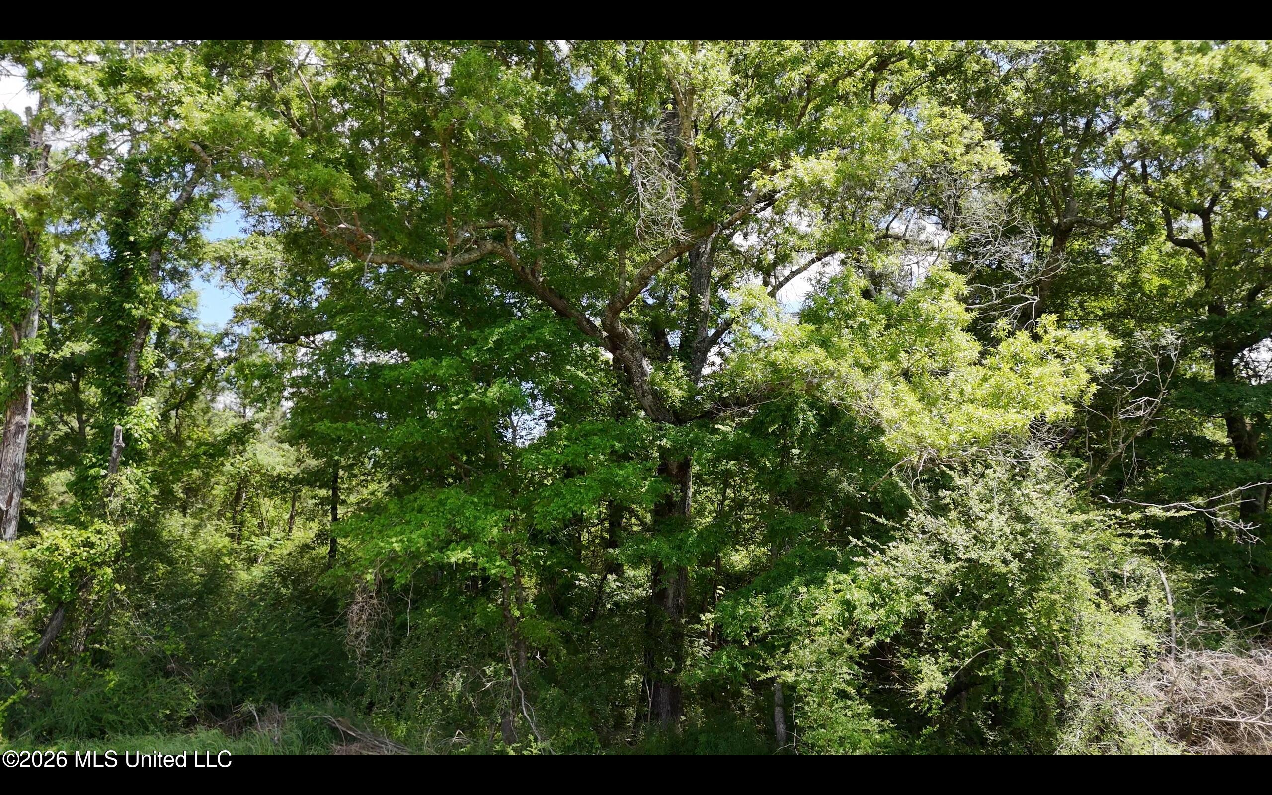 Magnolia Holmesville Road, McComb