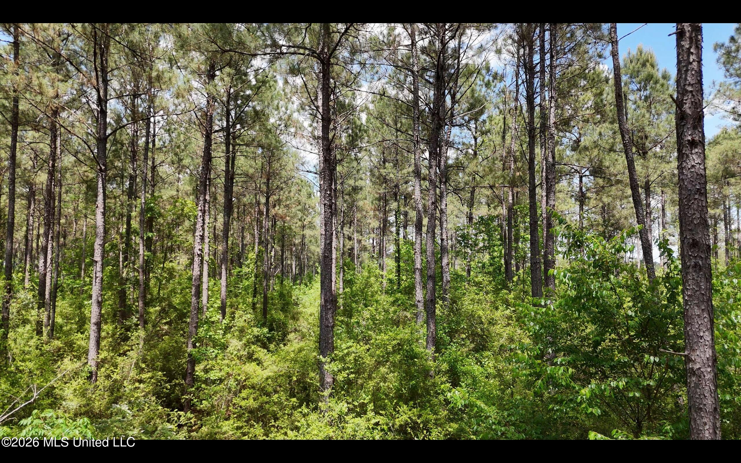 Magnolia Holmesville Road, McComb