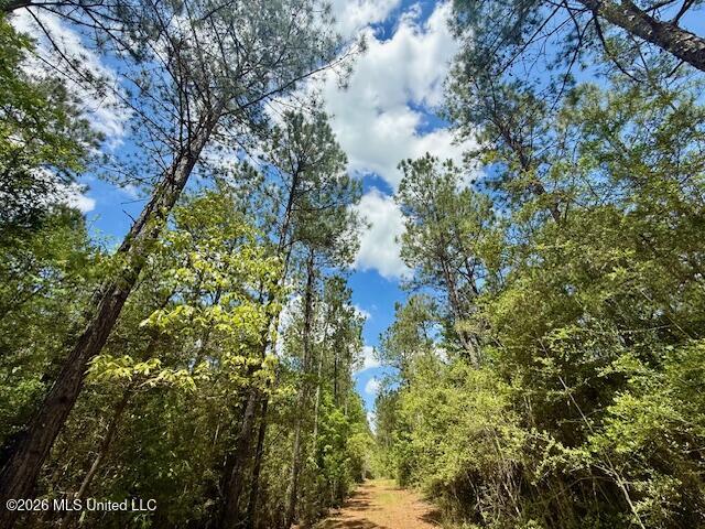 Magnolia Holmesville Road, McComb