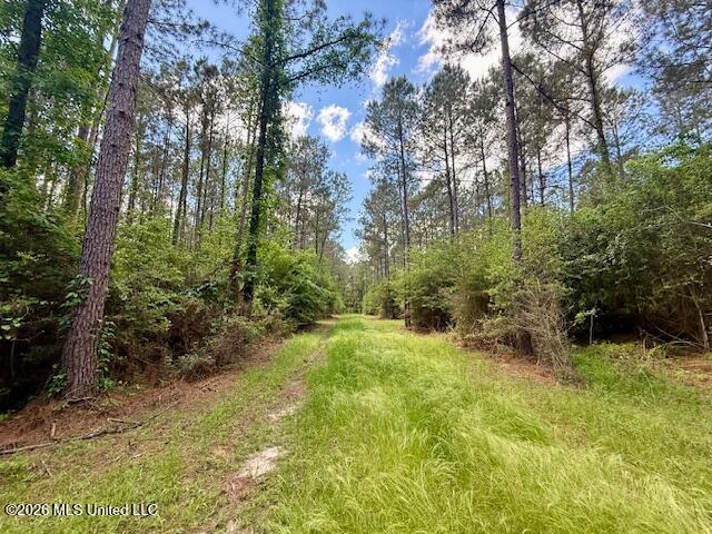Magnolia Holmesville Road, McComb