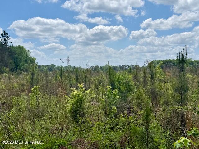 Magnolia Holmesville Road, McComb