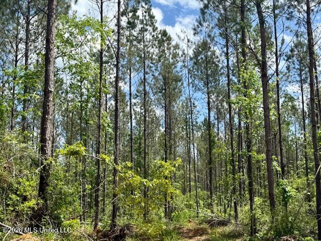 Magnolia Holmesville Road, McComb