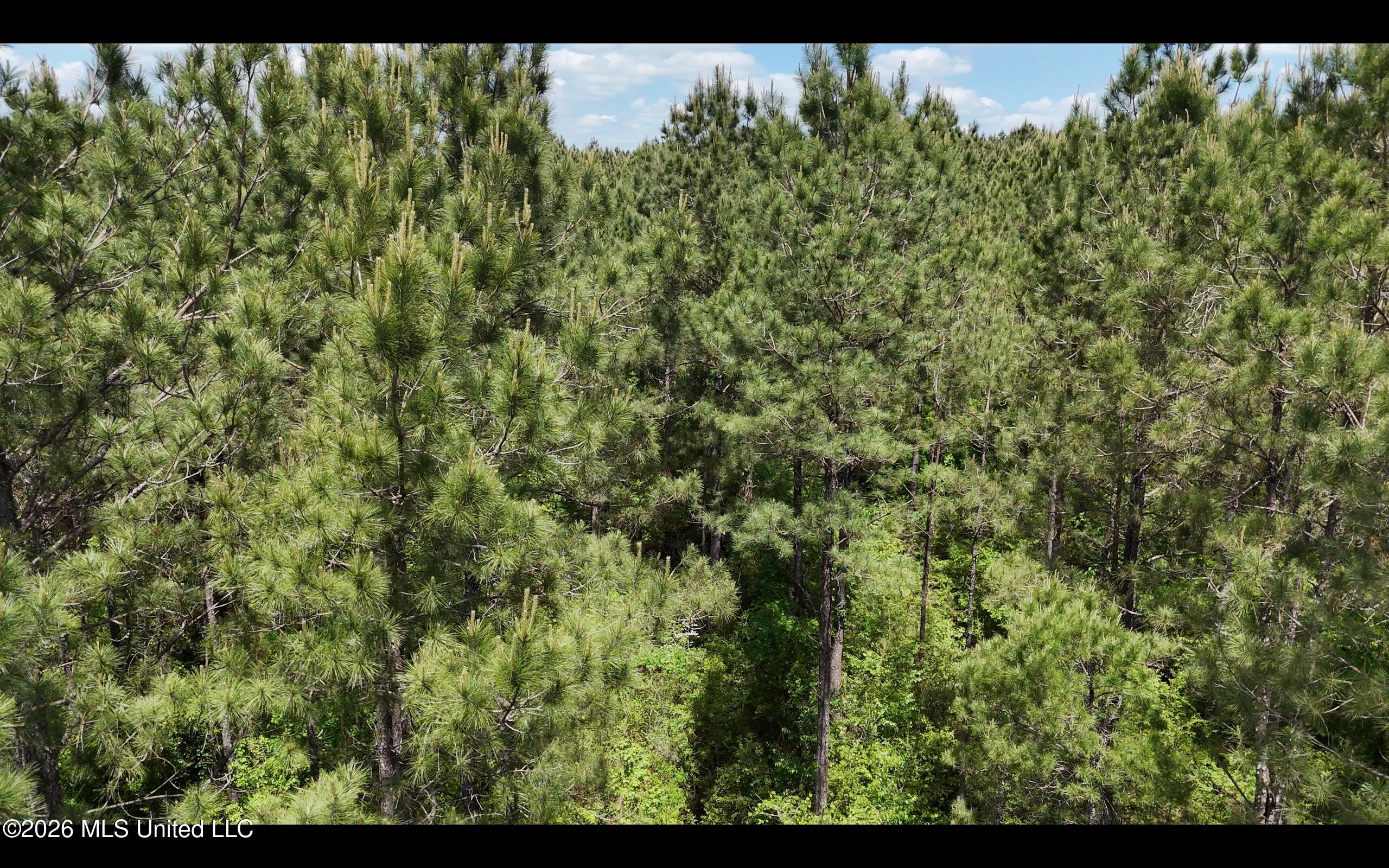 Magnolia Holmesville Road, McComb