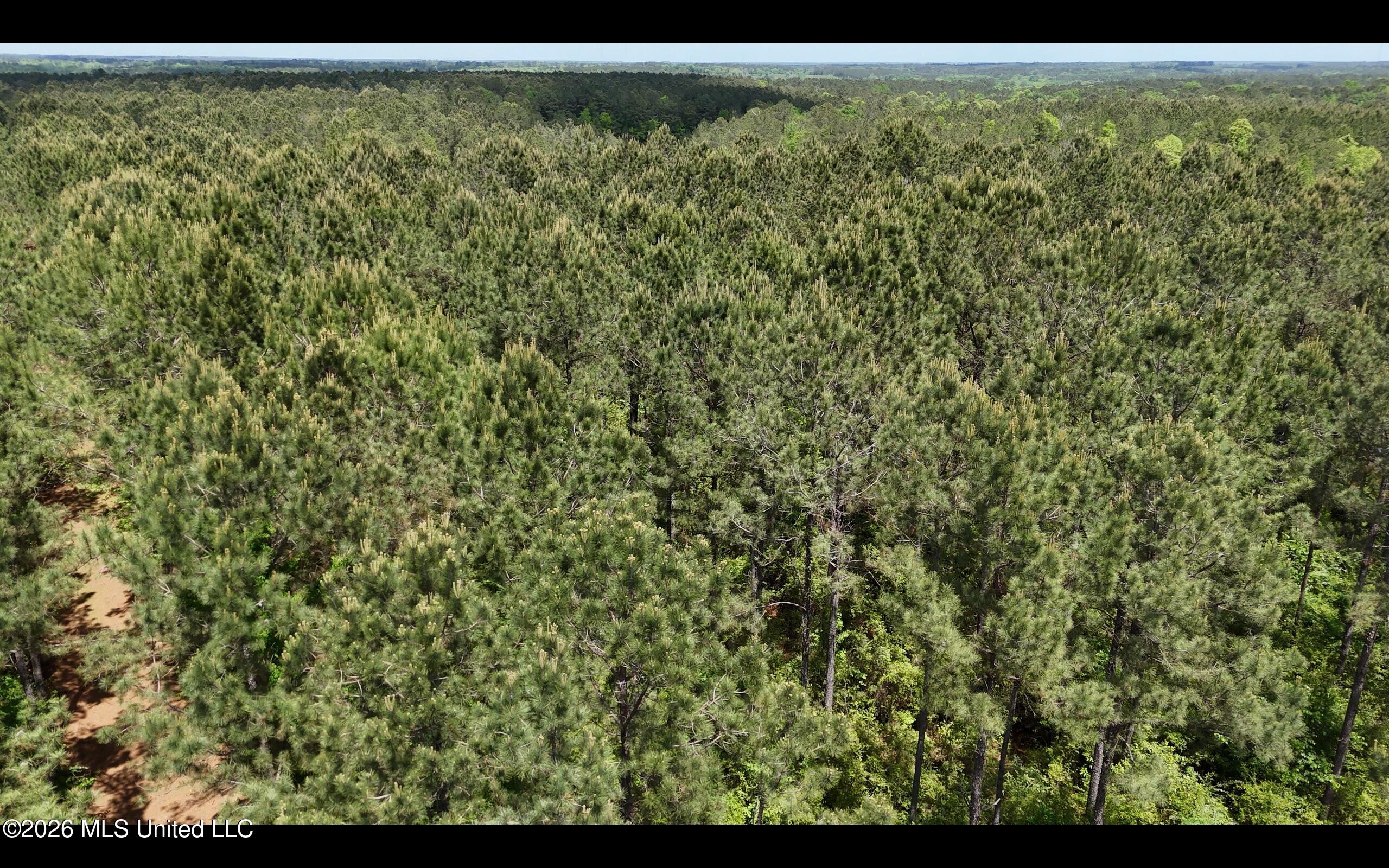 Magnolia Holmesville Road, McComb
