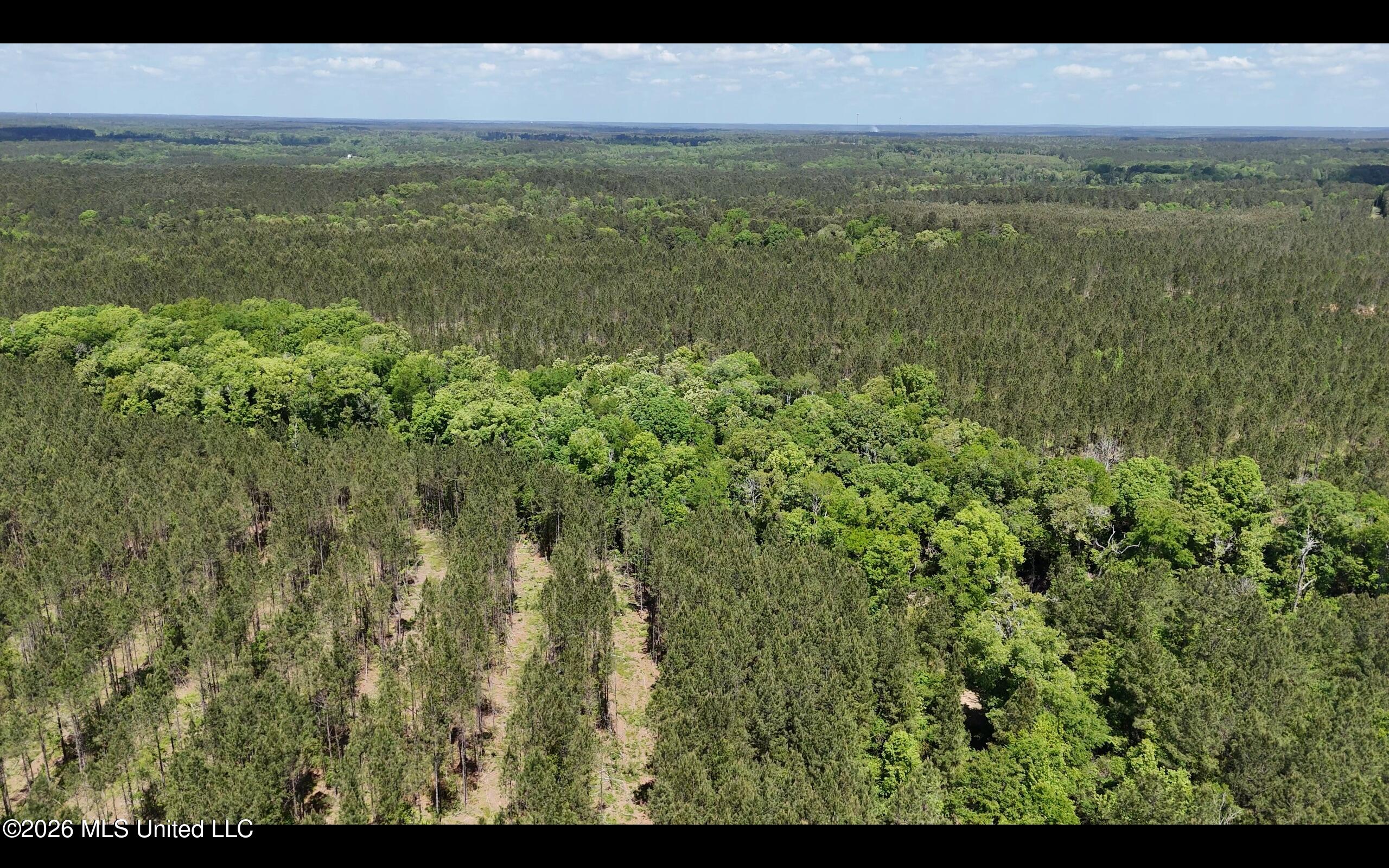 Magnolia Holmesville Road, McComb