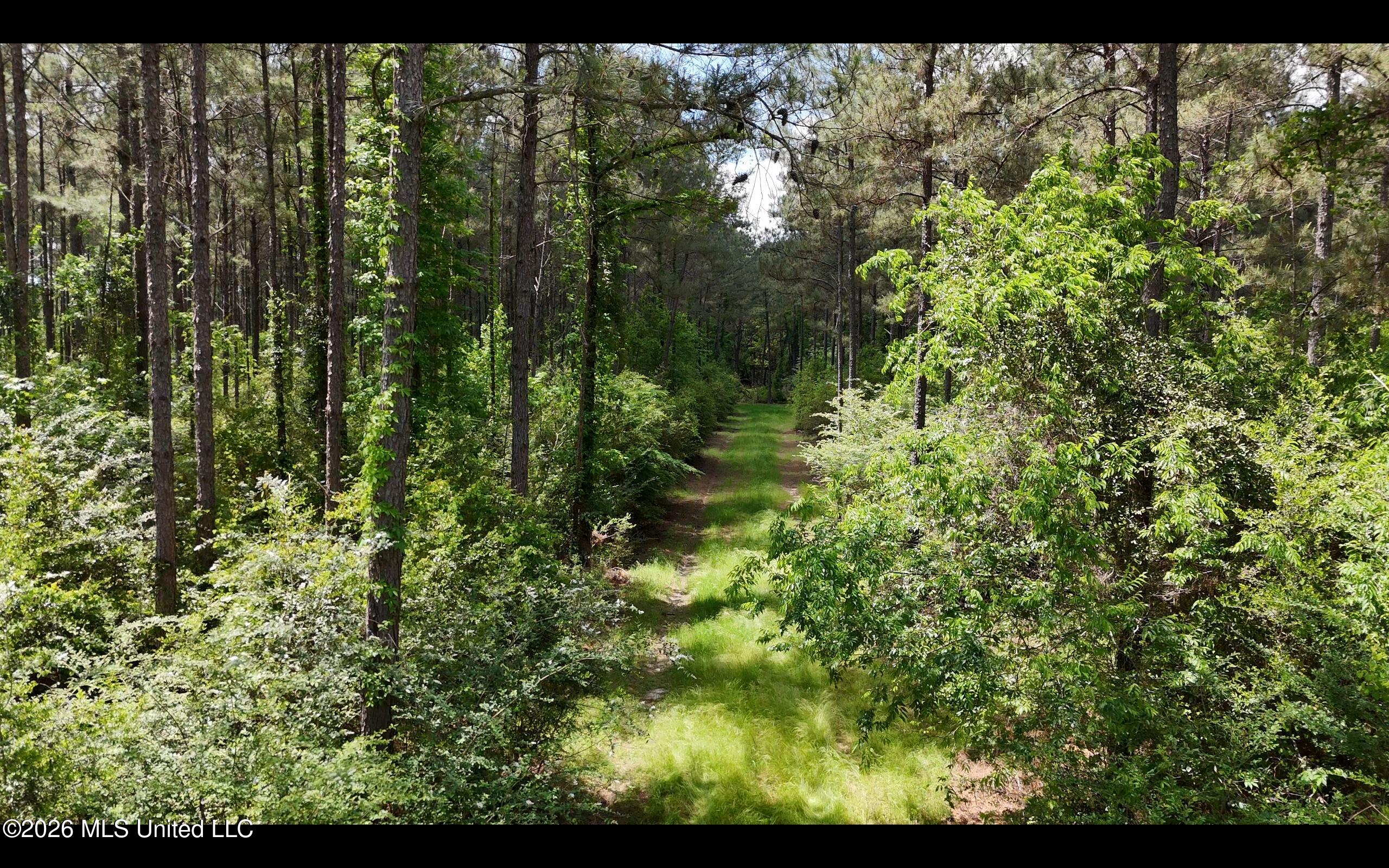Magnolia Holmesville Road, McComb