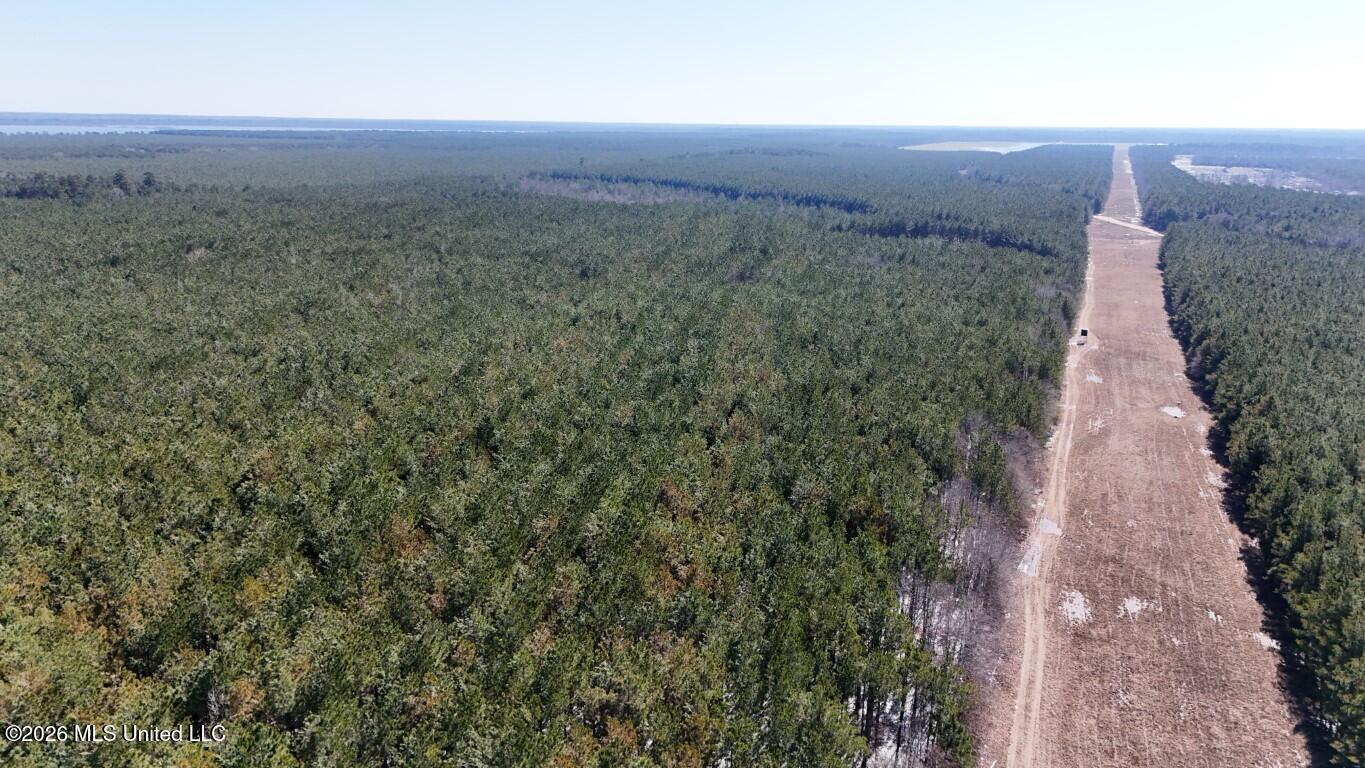 Prairie Debutte Road