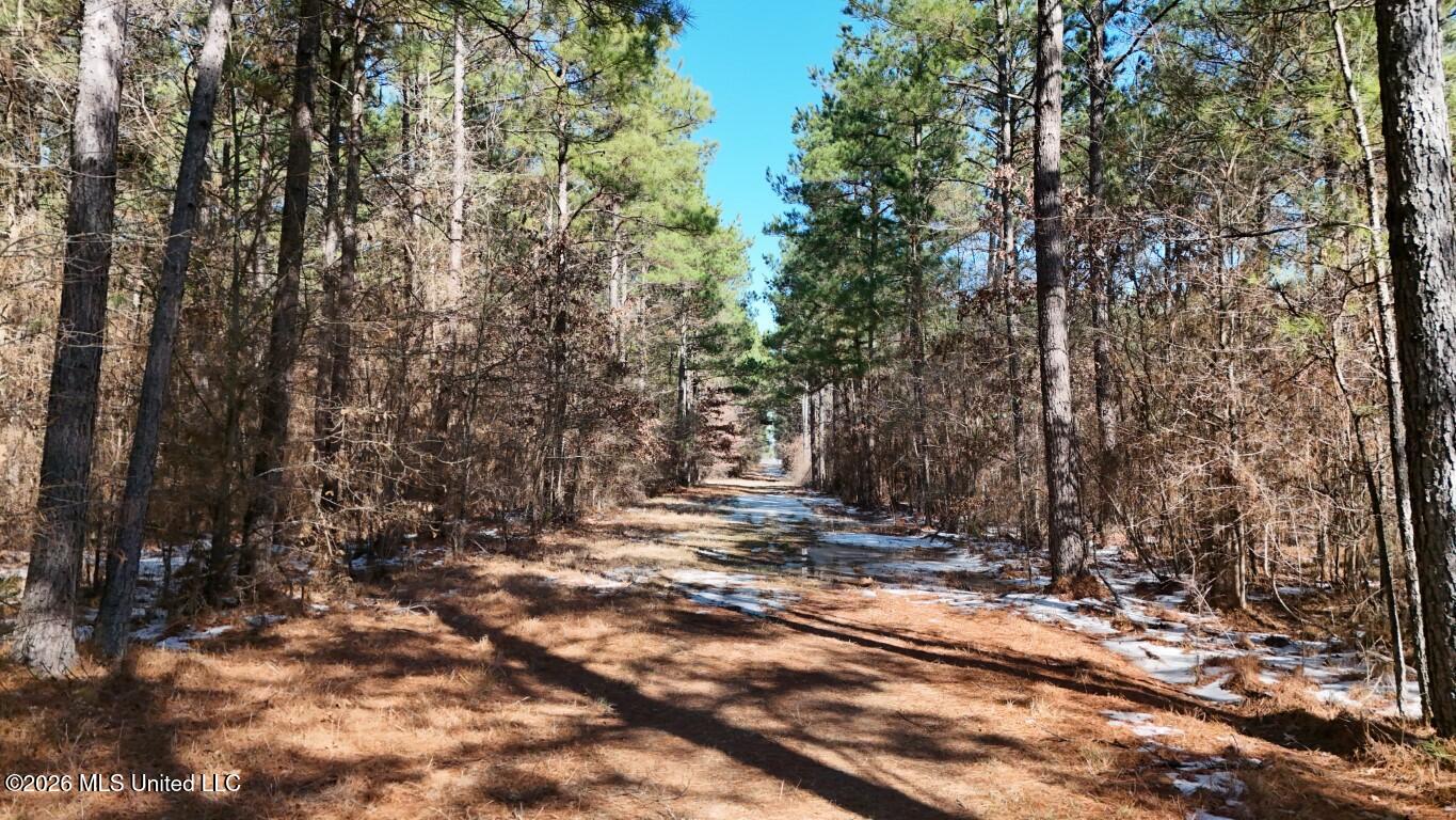 Prairie Debutte Road