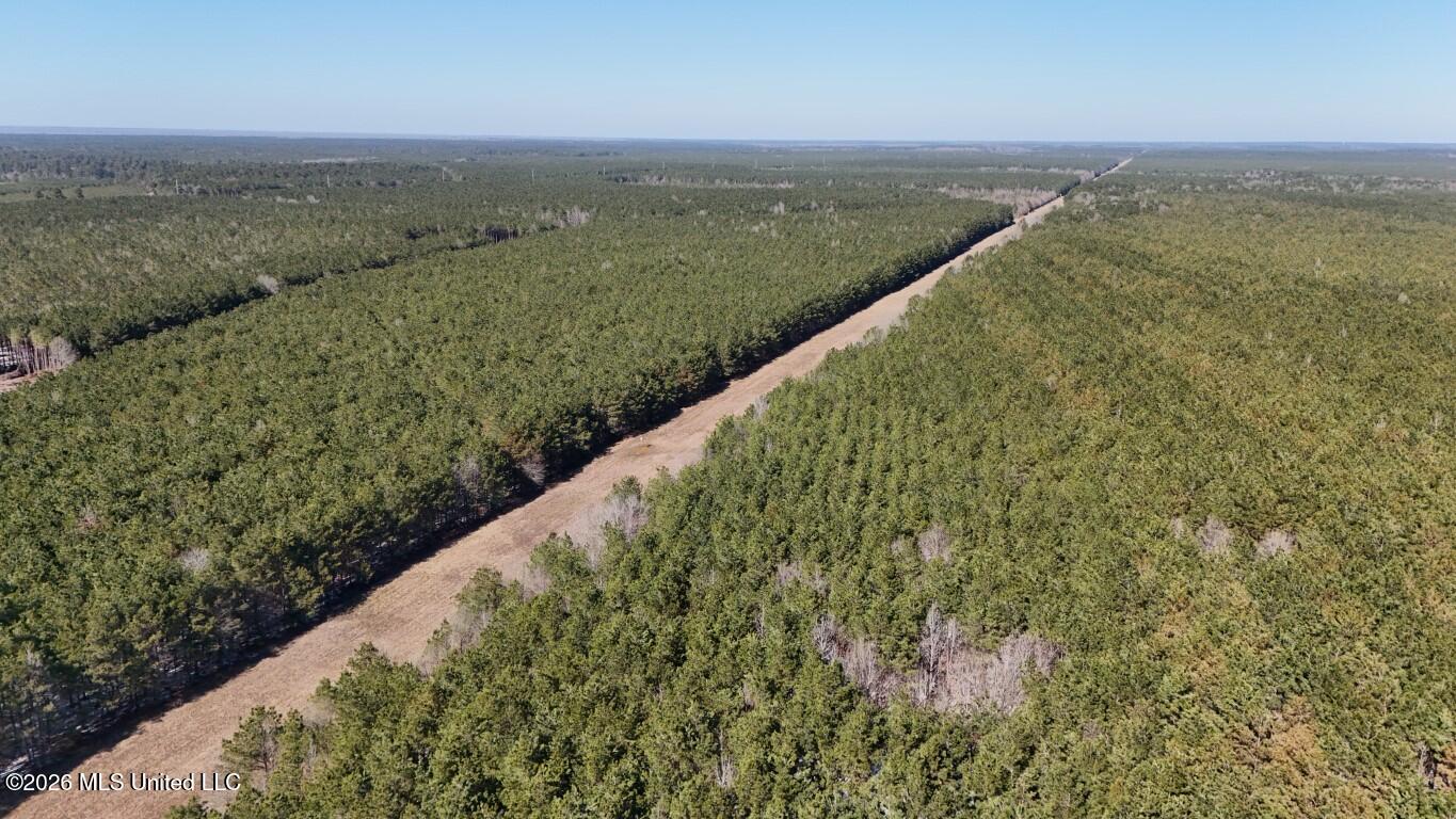 Prairie Debutte Road