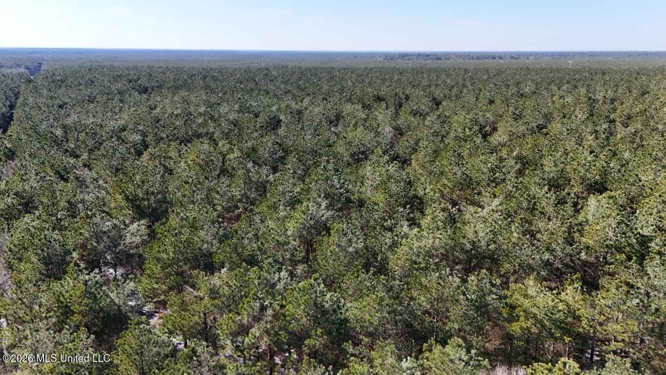 Prairie Debutte Road