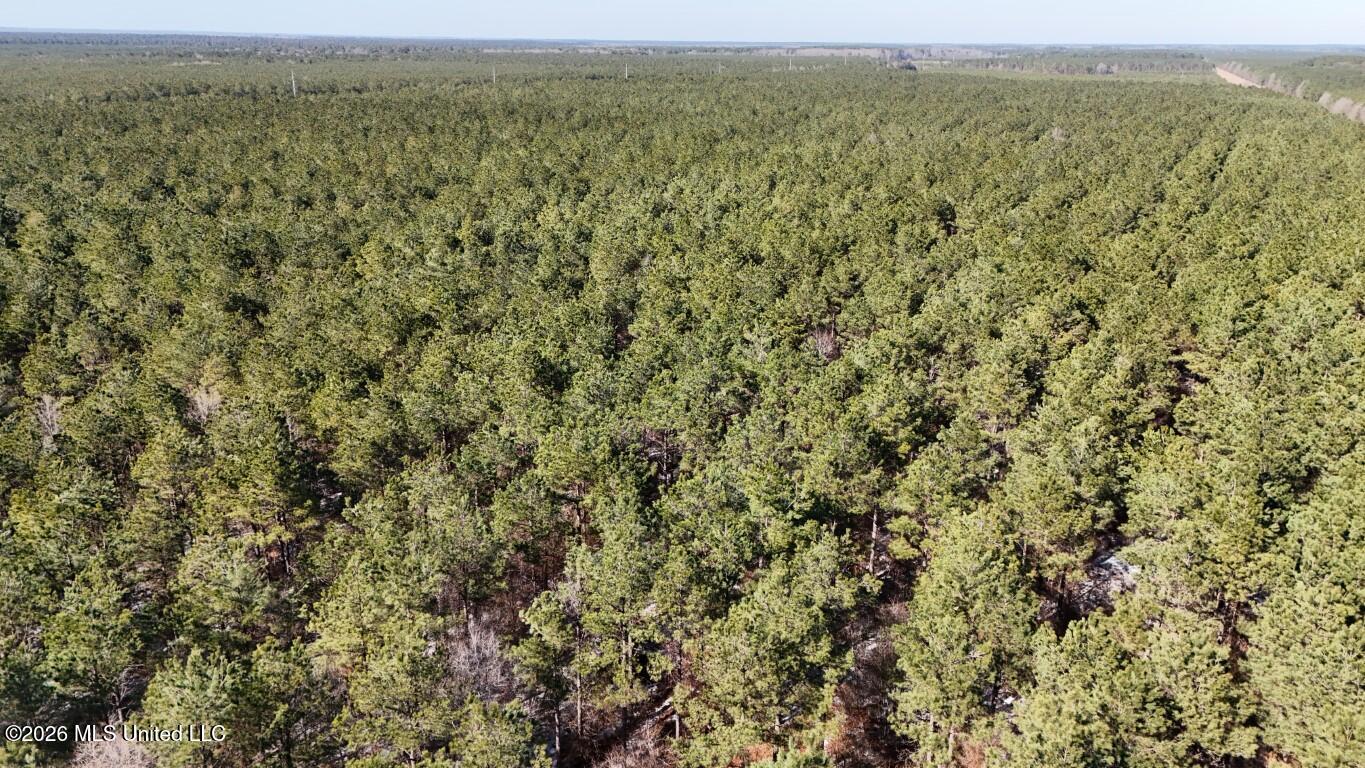 Prairie Debutte Road
