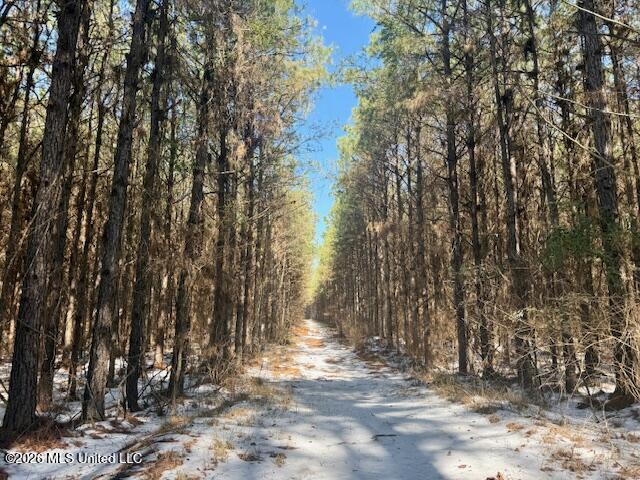 Prairie Debutte Road