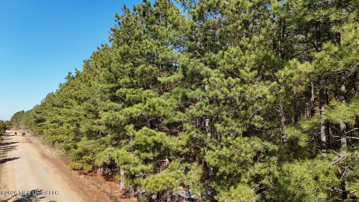 Prairie Debutte Road