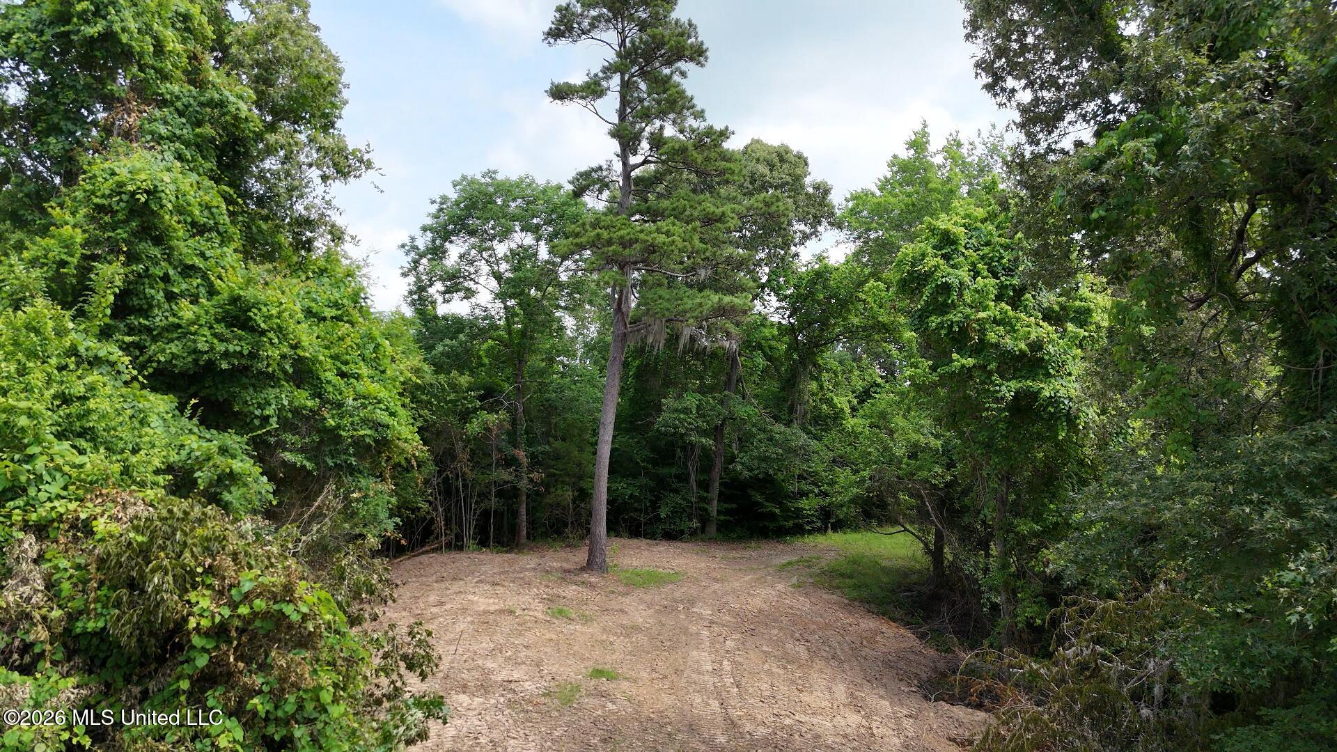 0 Dogwood Road