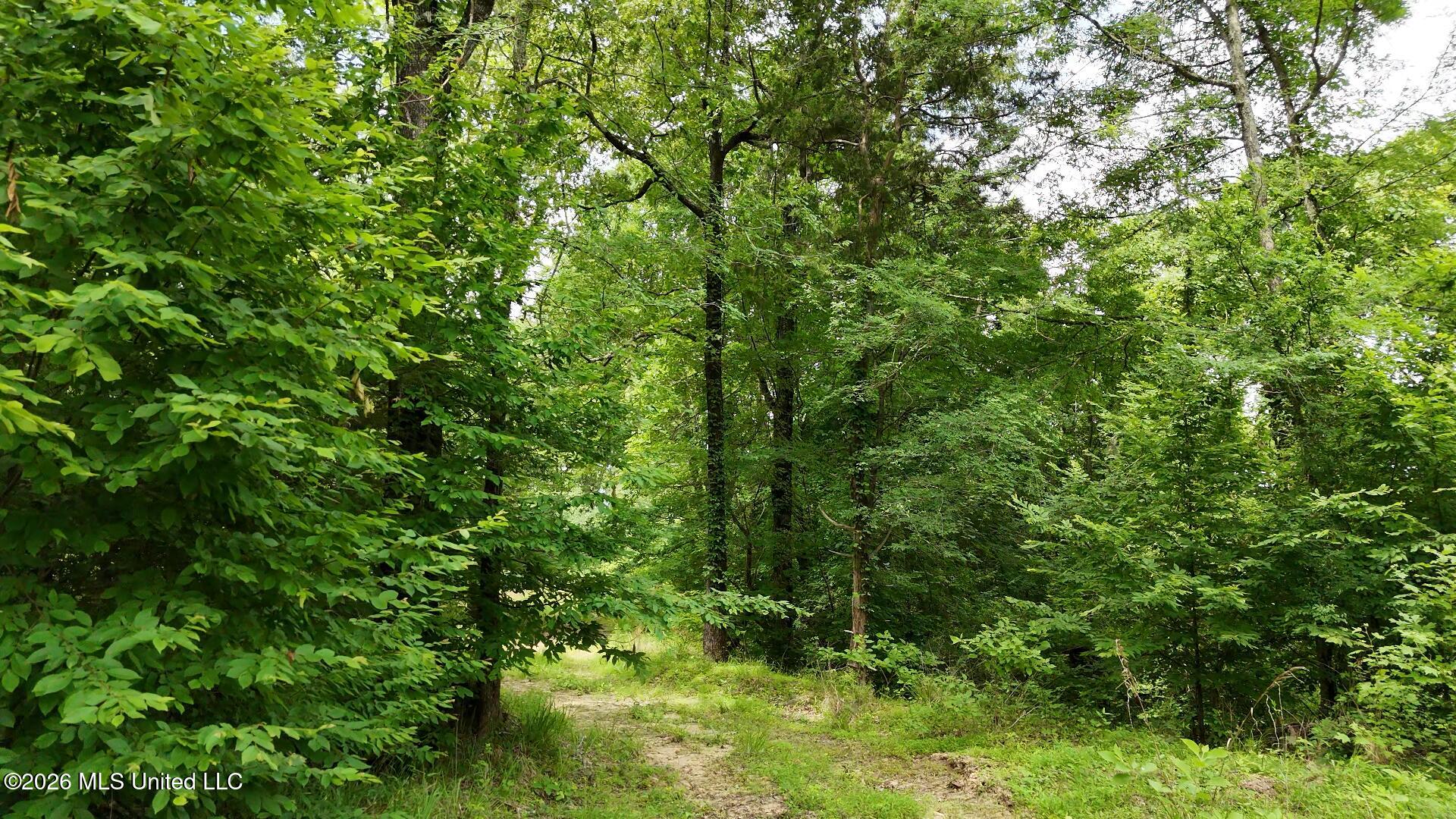 0 Dogwood Road