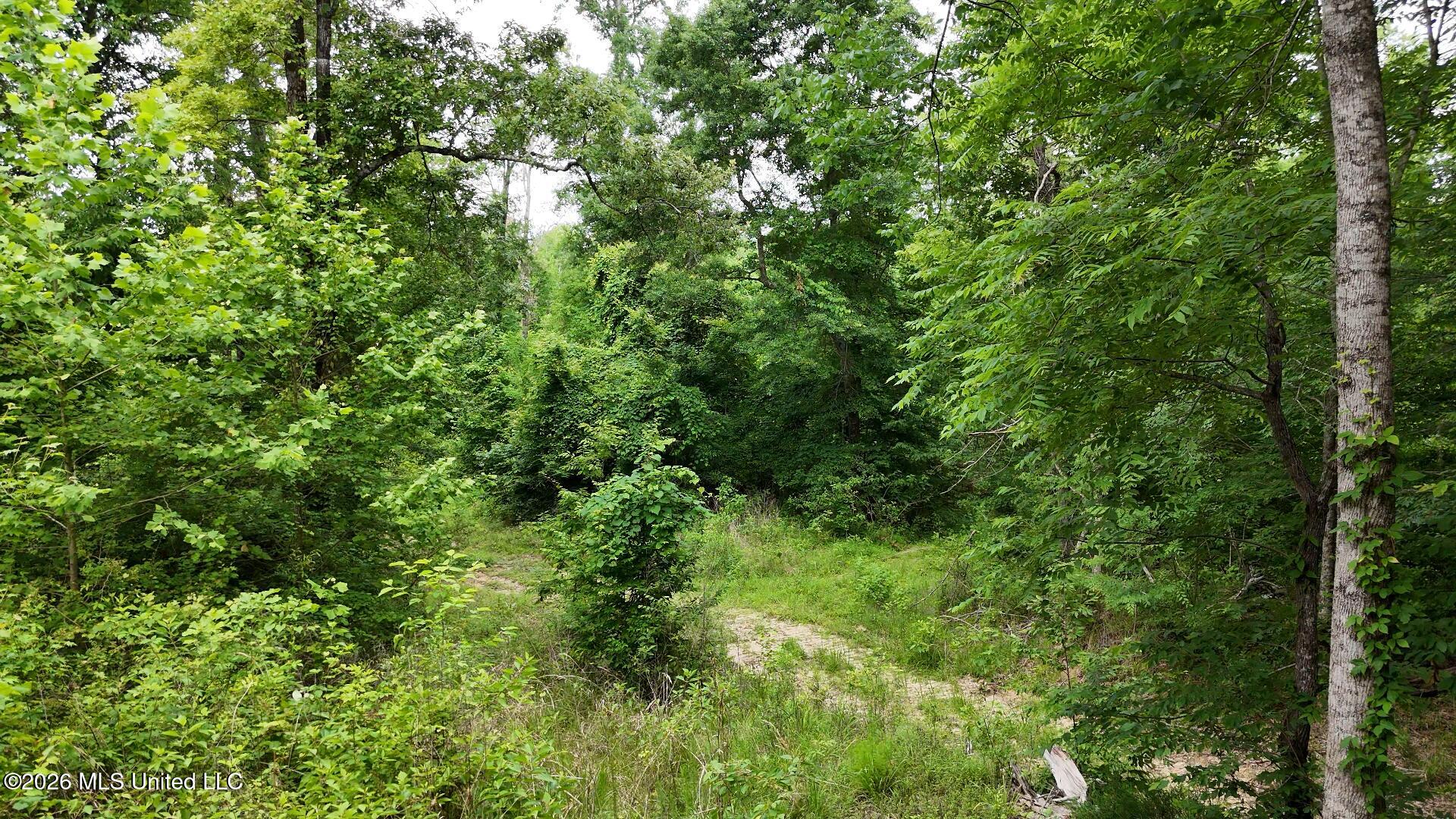 0 Dogwood Road