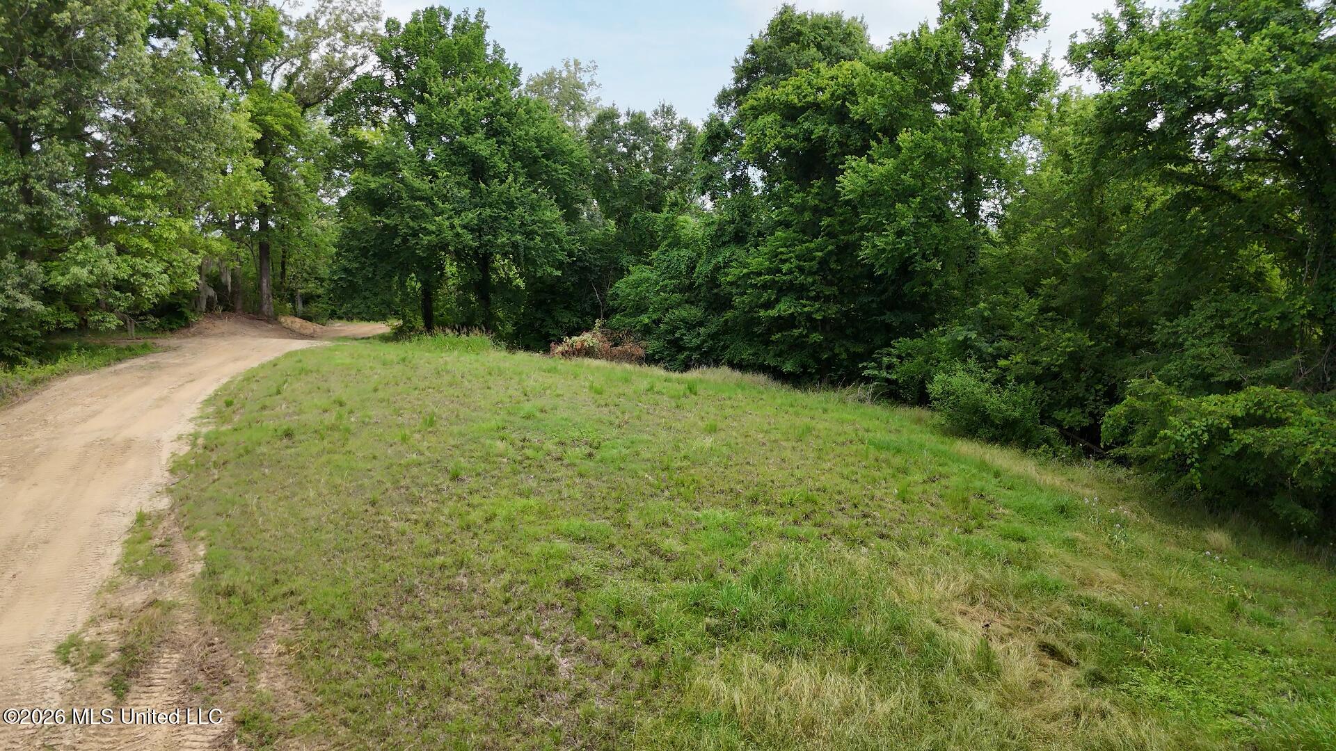 0 Dogwood Road