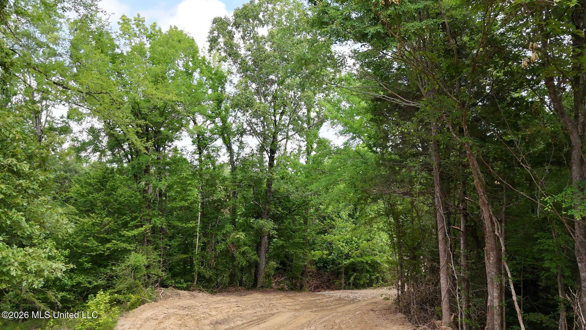 0 Dogwood Road