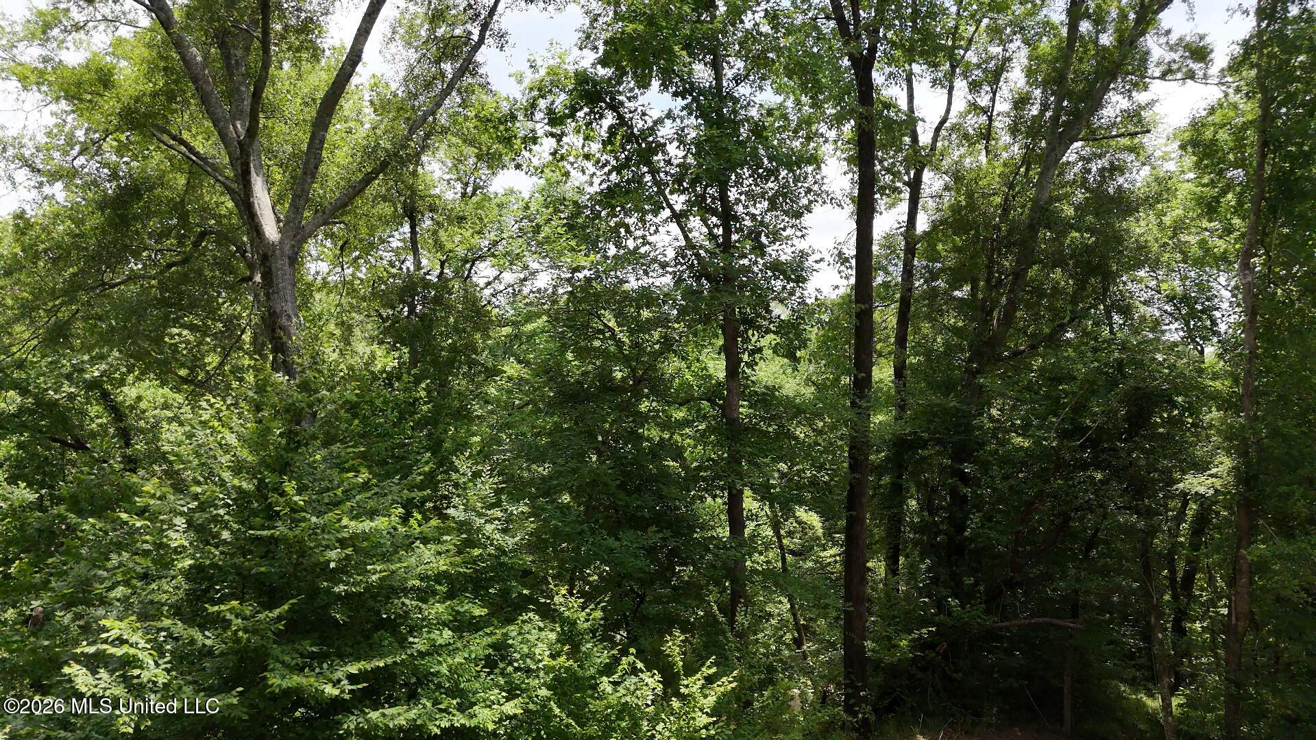 0 Dogwood Road