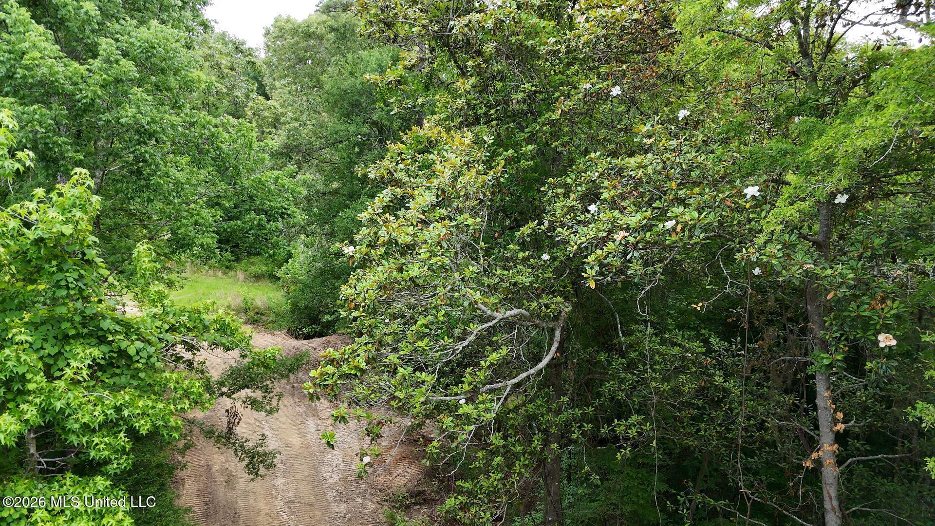 0 Dogwood Road
