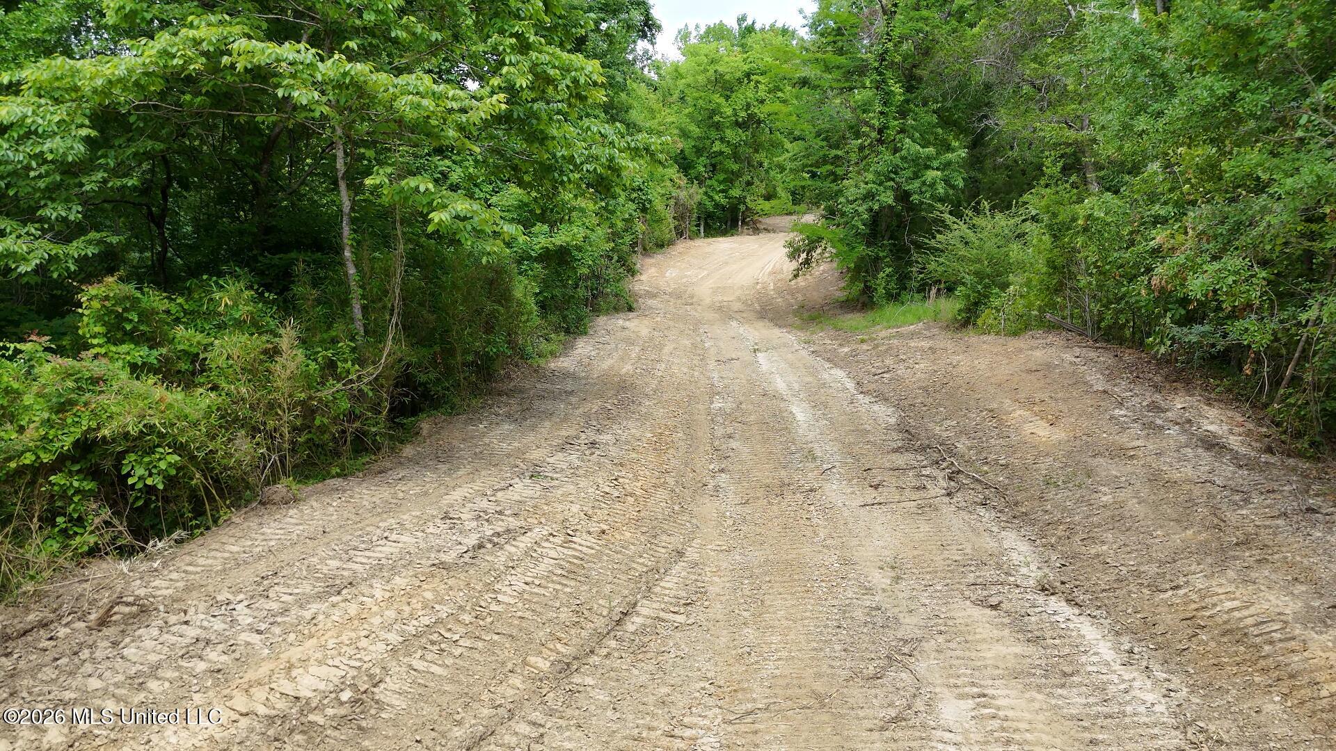 0 Dogwood Road