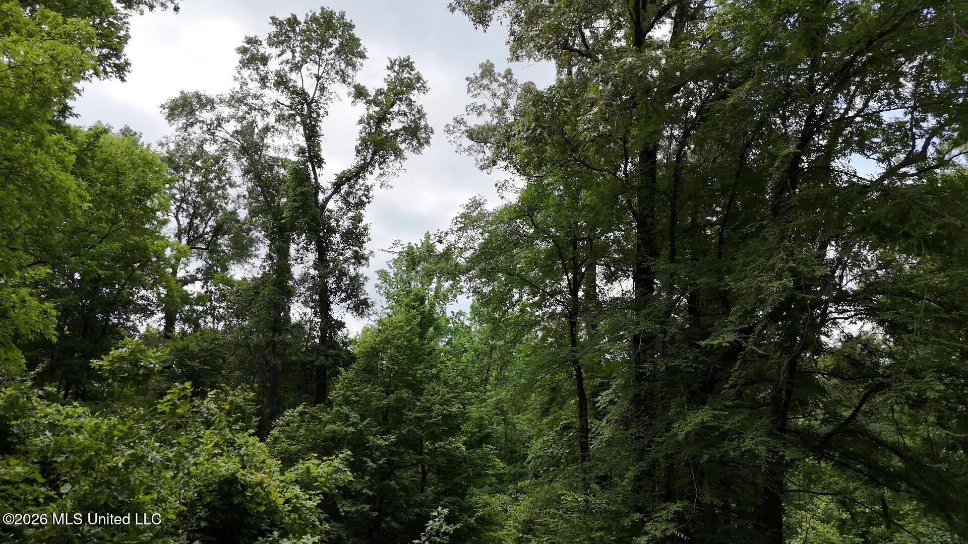 0 Dogwood Road