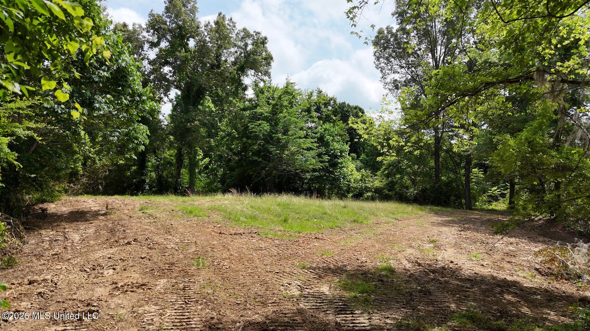 0 Dogwood Road