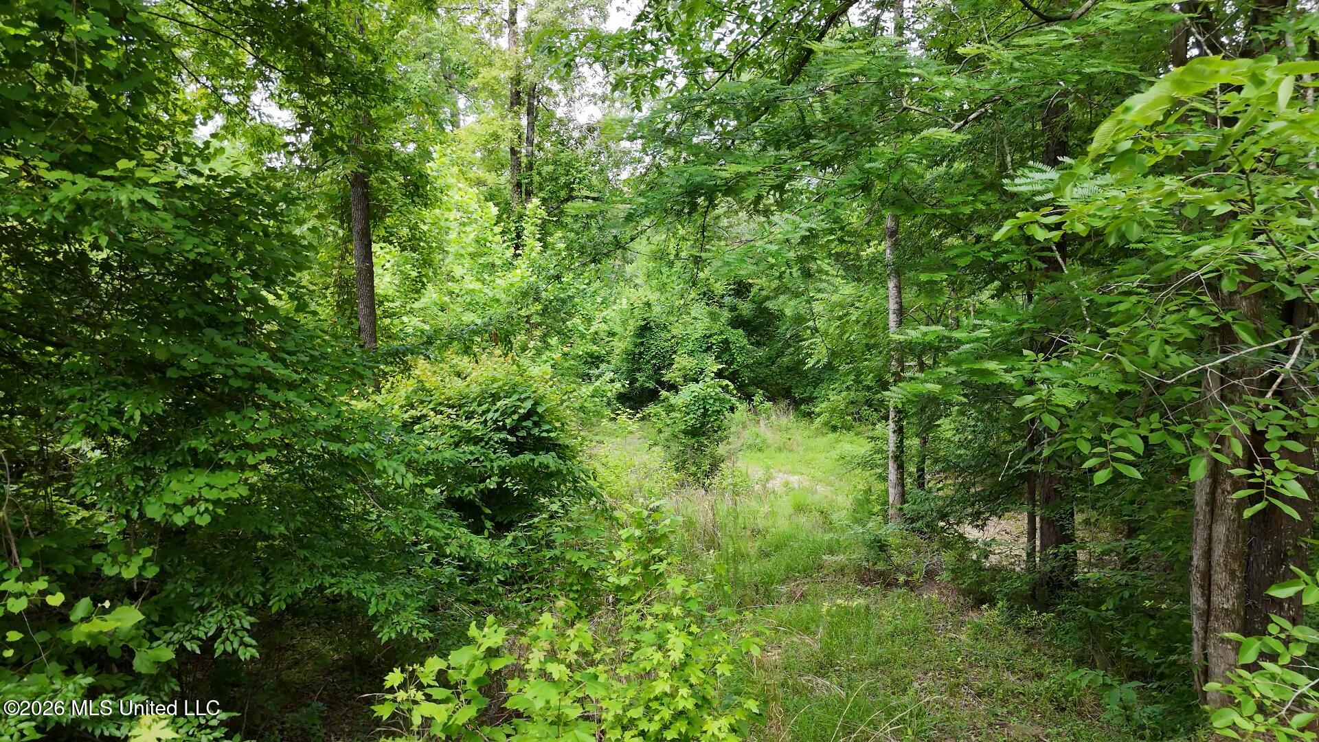 0 Dogwood Road