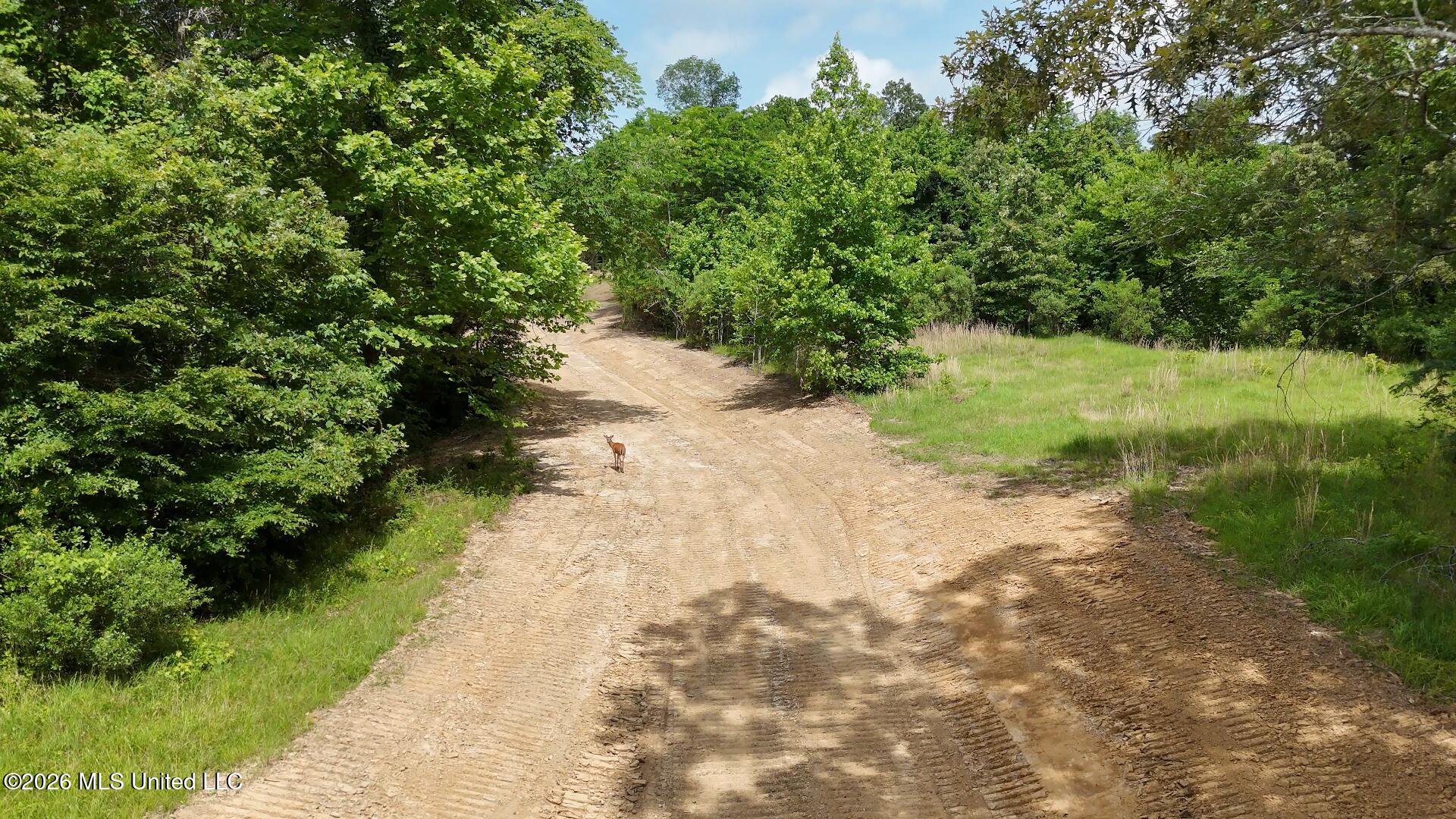 0 Dogwood Road