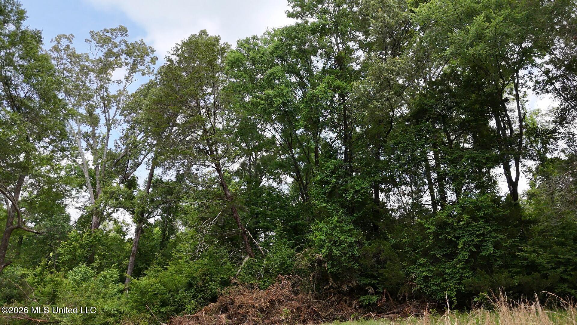 0 Dogwood Road